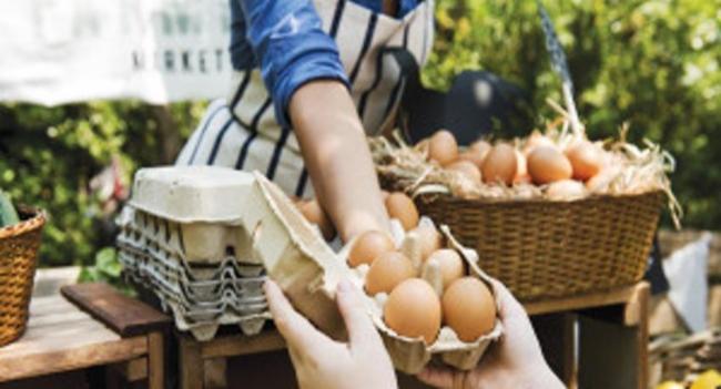 Sri Lanka to review egg prices